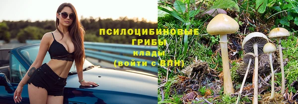 а пвп мука Елабуга
