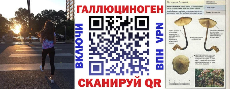 Купить где  Инза  Псилоцибиновые грибы Cubensis 